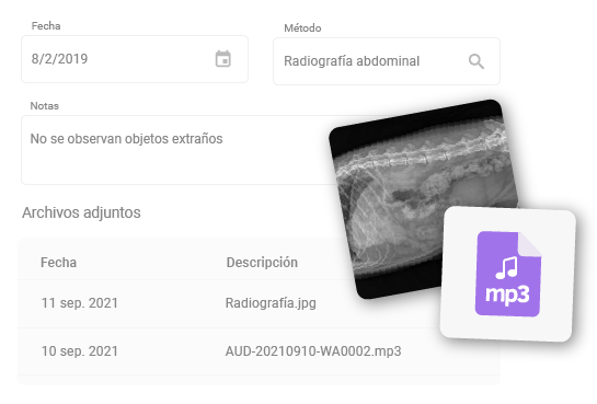 formulario de carga de metodos complementarios con dos archivos adjuntos de ejemplo (un mp3, y una imágen de una radiofrafía)